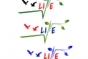 Работа 2274600