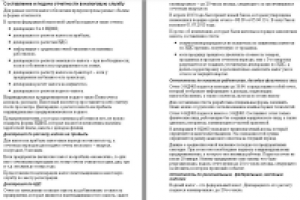 Отчетность в налоговую службу