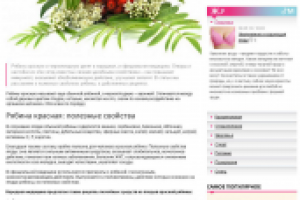 статья о черноплодной и красноплодной рябине с ключами