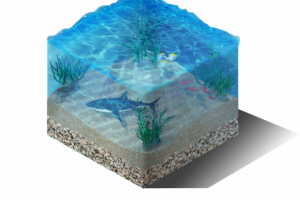 Фотоманипуляция