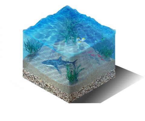 img3355963.png