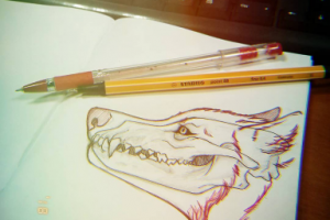 sketch_2
