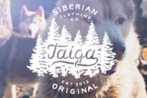 Работа 2179410