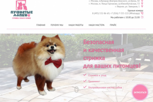 Лендинг салона Пушистые лапки