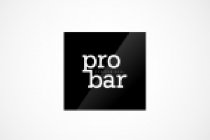 Логотип бара Professional Bar