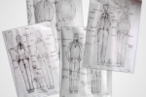 Предварительные эскизы коллекции яхтенной одежды GooseWing