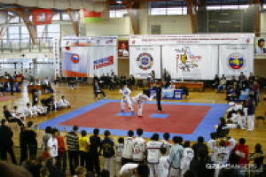 III Открытый Чемпионат России по таэквон-до 2010