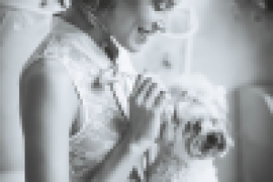 Работа 2297818