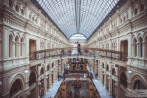 Работа 2297806