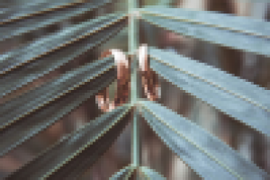 Работа 2297801