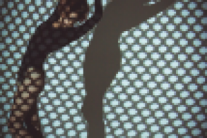 Работа 2297876