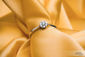 Работа 2297866