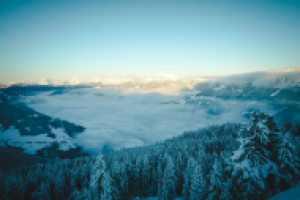 Работа 2297767