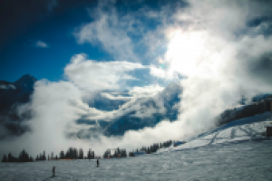 Работа 2297765