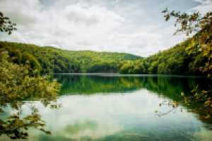 Работа 2297755