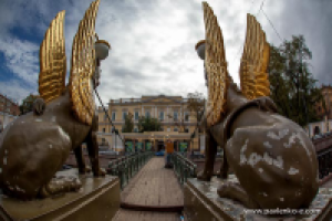 Работа 1281568