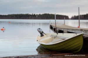 Работа 1280625