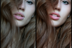 Работа 1274679