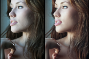 Работа 1274676