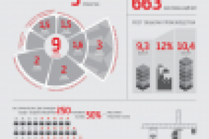 Техно Николь