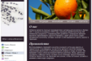 FanPage на Facebook "Attirance"