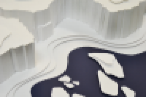 1 Курс. Ландшафтный макет.