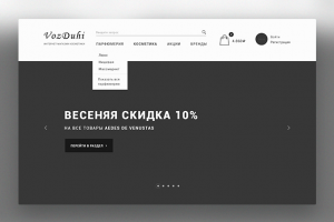 Прототип "VozDuhi"