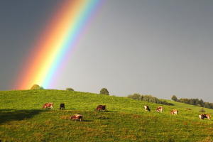 Евгения Павлова - "Радуга"