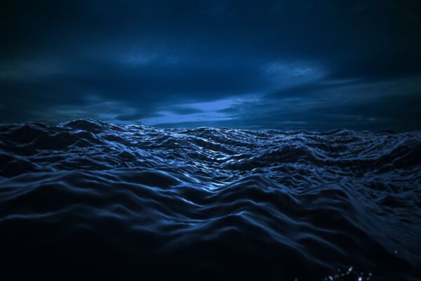 img3219172.png