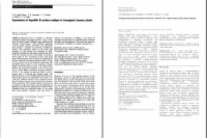 ENG>RU Экспрессия поверхностного антигена гепатита В