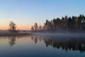 Работа 2781363