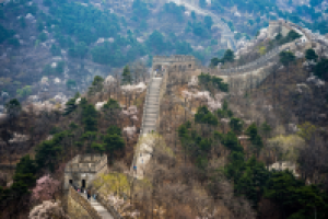 Работа 2781360