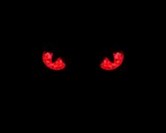 img2944219.png