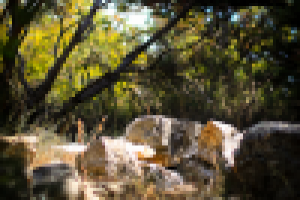 Работа 1210456