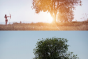 Работа 1760272