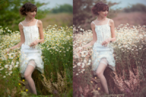 Работа 1760269