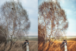 Работа 1760258