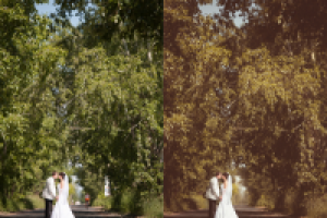 Работа 1760507