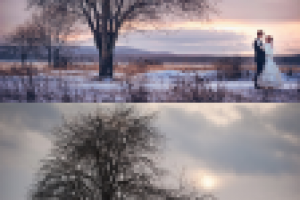 Работа 1760477