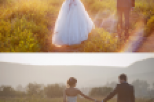 Работа 1760471