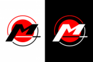 Работа 2119818