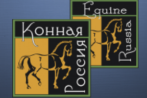 Работа 1917411