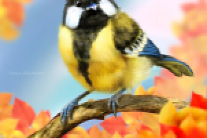 Работа 1917442