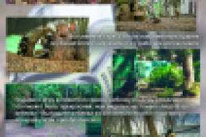 Работа 1917484