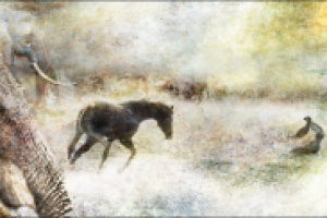 Работа 1917576