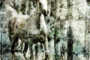 Работа 1917570