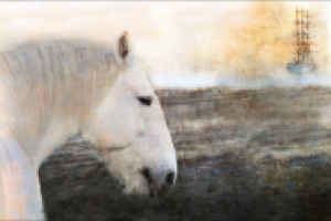 Работа 1917567