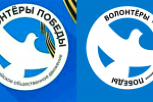 Волонтёры победы