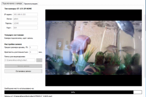 Запись и воспроизведение видео с IP видео-камер