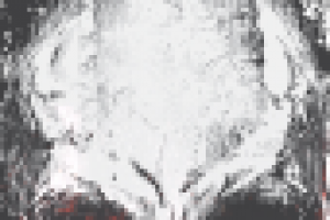 Игровая карта для VtM